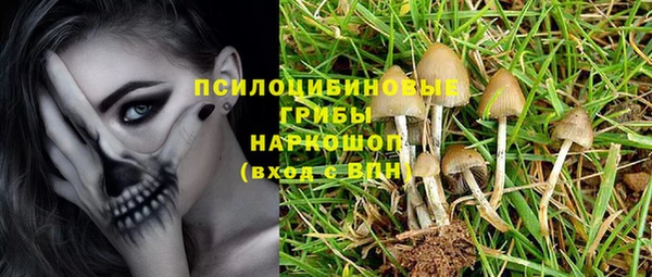 а пвп мука Лиски
