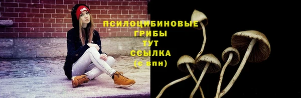 бошки Лихославль