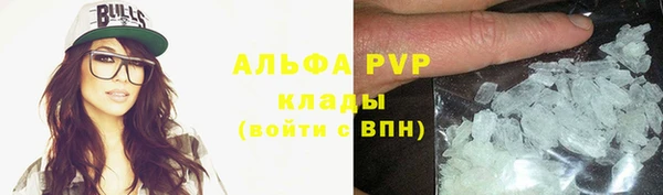 ешки Новозыбков