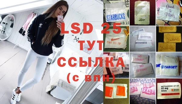 молекула духа Магадан
