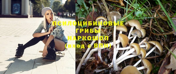 а пвп мука Лиски