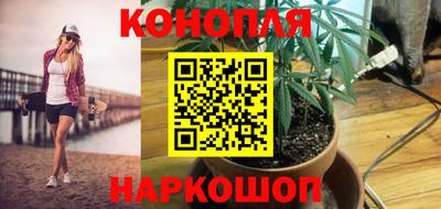 каннабис Аргун