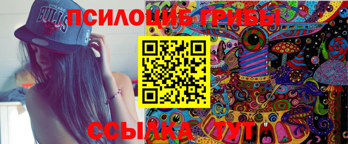 Псилоцибиновые грибы Psilocybine cubensis  Балаково 