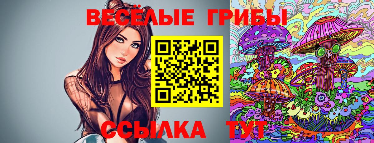 Галлюциногенные грибы MAGIC MUSHROOMS  Вход с VPN  Псилоцибиновые грибы Psilocybine cubensis  Балаково 